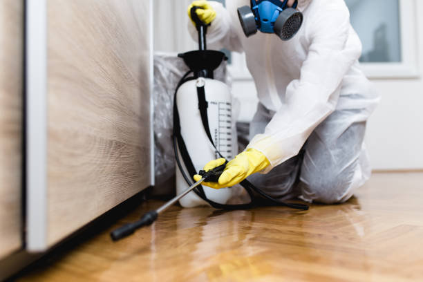 Wasp Removal Services in East Grand Rapids, MI