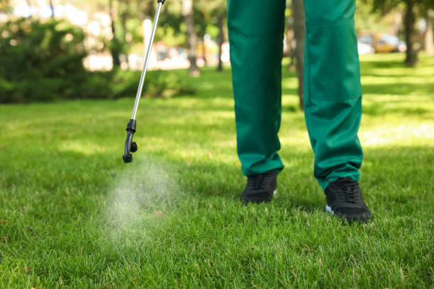 Best Mosquito Control Services  in East Grand Rapids, MI