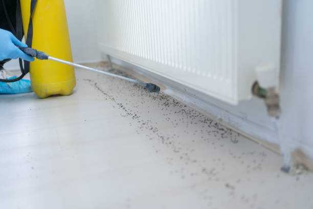 Best Local Pest Control Services  in East Grand Rapids, MI